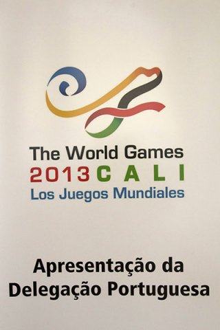 Jogos Mundiais 2013