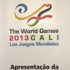 Jogos Mundiais 2013