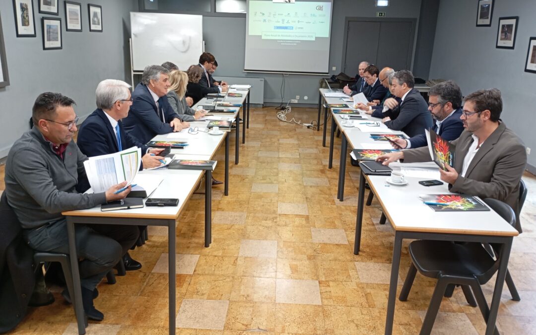 CDP presente na Reunião do Conselho de Fundadores e Curadores da Fundação do Desporto