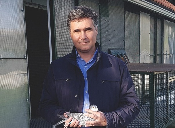 Portugal brilha na Alemanha