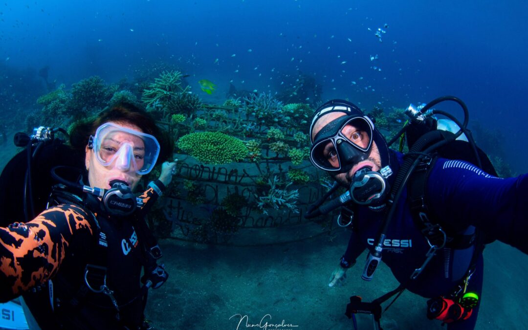 Nuno Gonçalves Campeão de Medalhas em Fotografia Subaquática